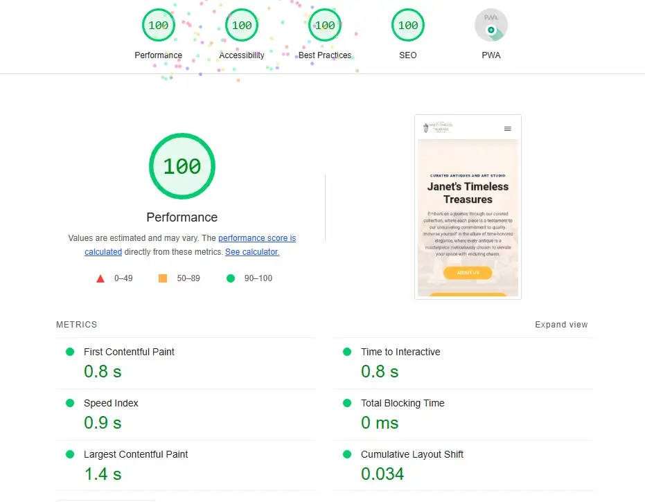 Google PageSpeed 100 score